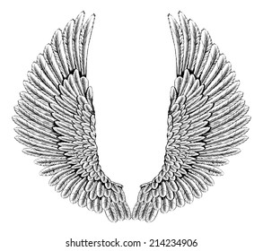 An illustration of a pair of angel or eagle wings spread