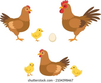 Illustration of a pair of brown chicken parent and child (Rooster, hen and chicks)