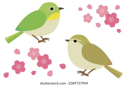 Illustration of a pair of cute Japanese white-eyes and bush warblers and cherry blossoms