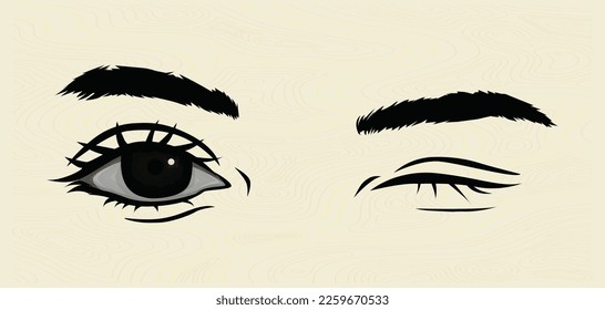 Illustration of a pair of female eyes. Eye vectors