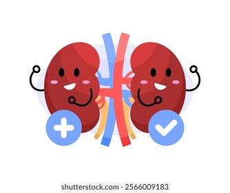 illustration of a pair of kidneys smiling happily because they are in a healthy condition. healthy kidney organ. health and condition. character expression. flat style character design. element