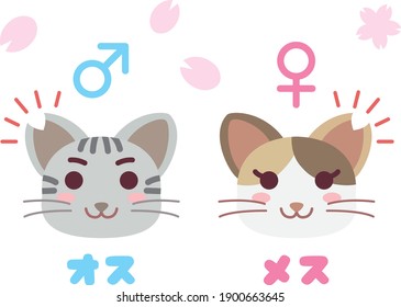 Illustration of the pair of the local cat which cut an ear and Japanese letter. Translation : "Male" "Female"
