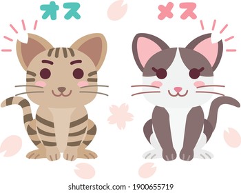 Illustration of a pair of local cat whose ear was cut and Japanese letter. Translation : "Male" "Female"