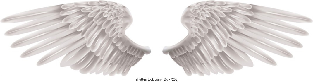 Illustration of a pair of outstretched beautiful white wings