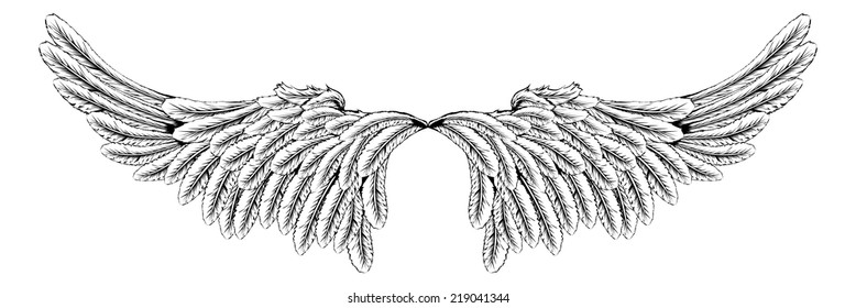 An illustration of a pair of wings like angel or eagle wings