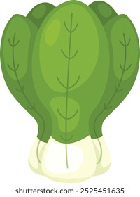 ilustração de pak choi em um fundo branco