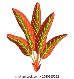 Illustration of palm leaf. Decorative image of tropical foliage and plant.