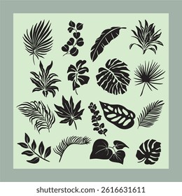Illustration of palm leaves, monstera, banana and tropical rainforest leaves suitable for summer design