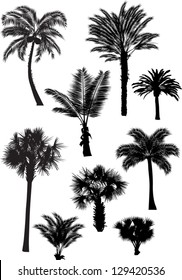 illustration with palm silhouettes isolated on white background