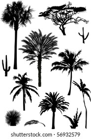 illustration with palm silhouettes isolated on white background