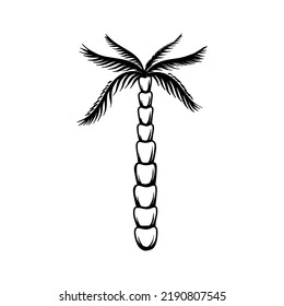 Illustration of palm in tattoo style. Summer theme. Design element for poster, card, banner, emblem, sign. Vector illustration