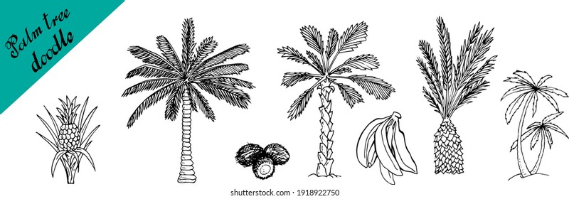 Illustration Of Palm Tree, Coconut And A Pineapple Sketch For Design, Website, Background, Banner. Hand Drawing Floral On Beach. Travel And Vacation Ink Element Template. Isolated On White.