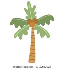Illustration of a Palm Tree with Coconuts
