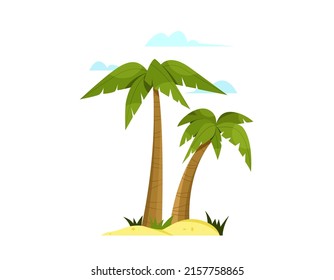 Illustration of a palm tree with coconuts isolated on white background in flat style. 