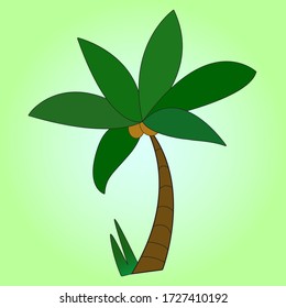 Illustration of a palm tree with coconuts on a green background