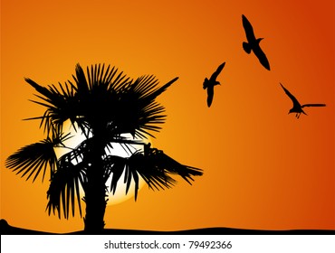 ilustración con palmera y gaviotas al atardecer