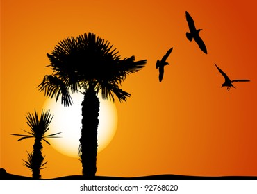 ilustración con palmera y gaviotas al atardecer
