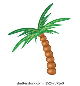Illustration of a palm tree isolated on white
