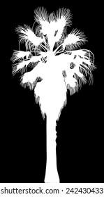 illustration with palm tree isolated on black background