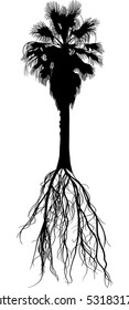 illustration with palm tree isolated on white background