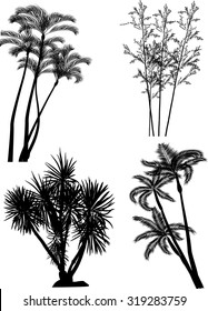 illustration with palm tree silhouettes isolated on transparent background