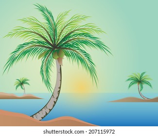illustration of palm trees with coconut on the beach