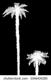 illustration with palm trees isolated on black background