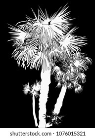 Illustration mit Palmen einzeln auf schwarzem Hintergrund