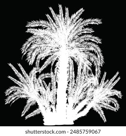 ilustración con palmeras aisladas sobre fondo negro