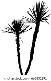 ilustración con palmeras aisladas en fondo blanco