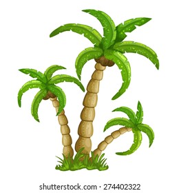 Illustration of the palm trees on a white background