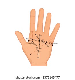 Illustration of palmistry age card on open hand on a white background, vector image
