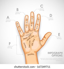 illustration of palmistry infographics describing different lines