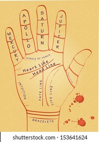 illustration of palmistry map on open palm on abstract 