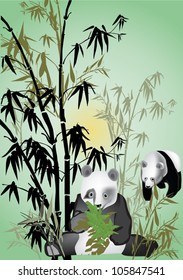 illustration with panda in bamboo