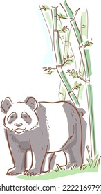 Ilustración de un Panda con fronteras de Bambú