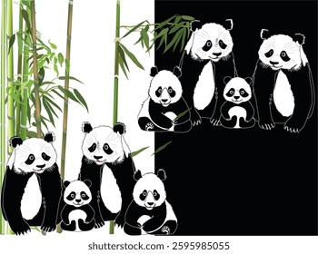 illustration with panda family in bamboo plants isolated on white and black background
