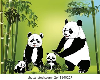 illustration with panda family in bamboo plants on green background