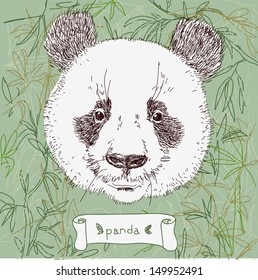 Illustration of panda on forest background in vector