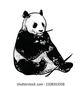 illustration of panda on white backgroud