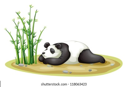 illustration of a panda on a white background