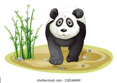 illustration of a panda on a white background