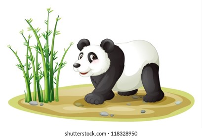 illustration of a panda on a white background