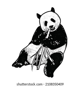 illustration of panda on white background