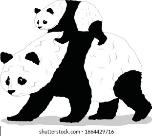 Illustration Of Panda Side View