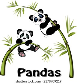 Illustration with pandas on the trees.Colored vector illustration with pandas and green bamboo on a transparent background.