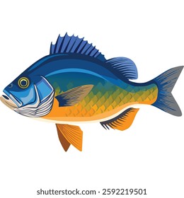 An illustration of a panfish