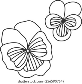 An illustration of a pansy with distinctive hand drawn lines