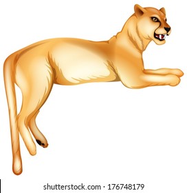 Illustration of a panther on a white background