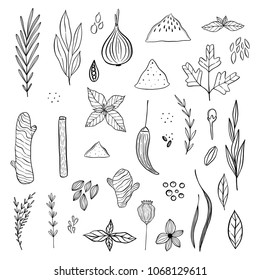 Illustration of a pantry staple objects.  Cute lovely doodle drawings of spices and herbs. 